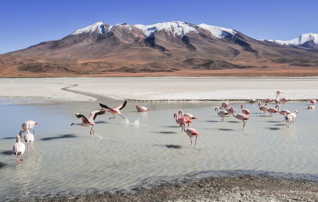 Argentina Travel Guide: Explore South America's Gem in 2024 and 2025