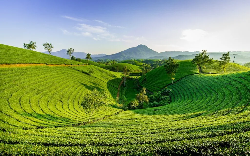 17 Best Asian Countries to Visit: Your Ultimate Travel Guide