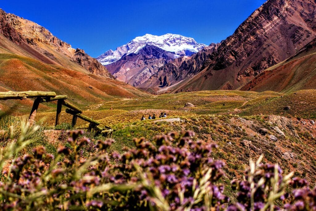 Argentina Travel Guide: Explore South America's Gem in 2024 and 2025